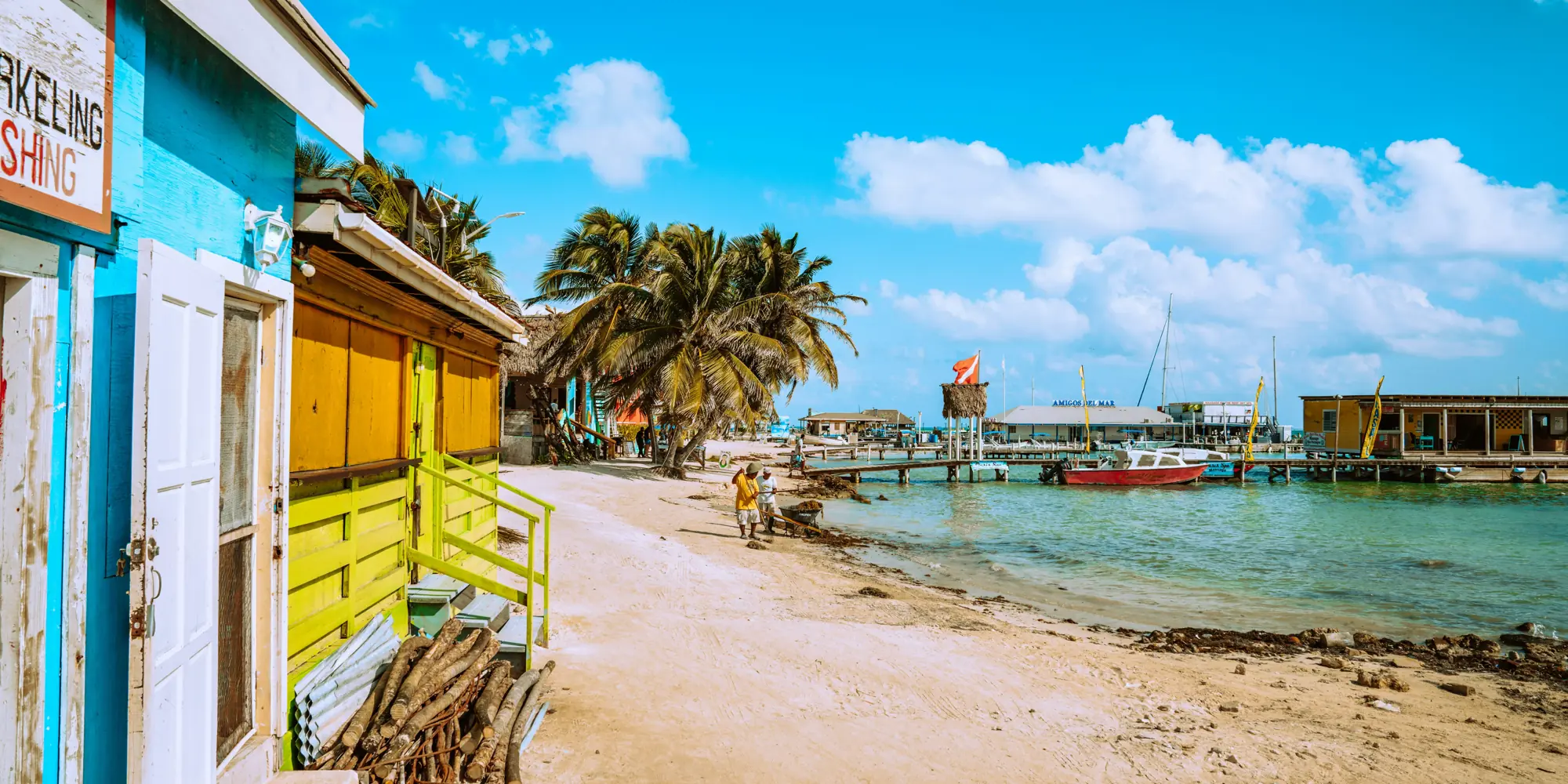 Belize diving with sharks houses on the beach