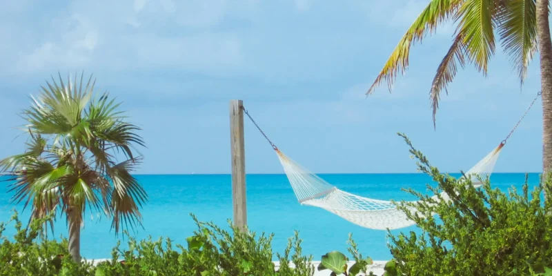 Hammock and palm trees in the Bahamas diving with sharks