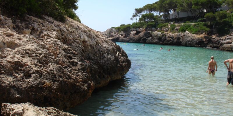 Shark alarm at the Ballermann in Mallorca