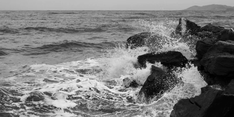 Shark attack: Tourist dies in Ixtapa Zihuatanejo, Mexico