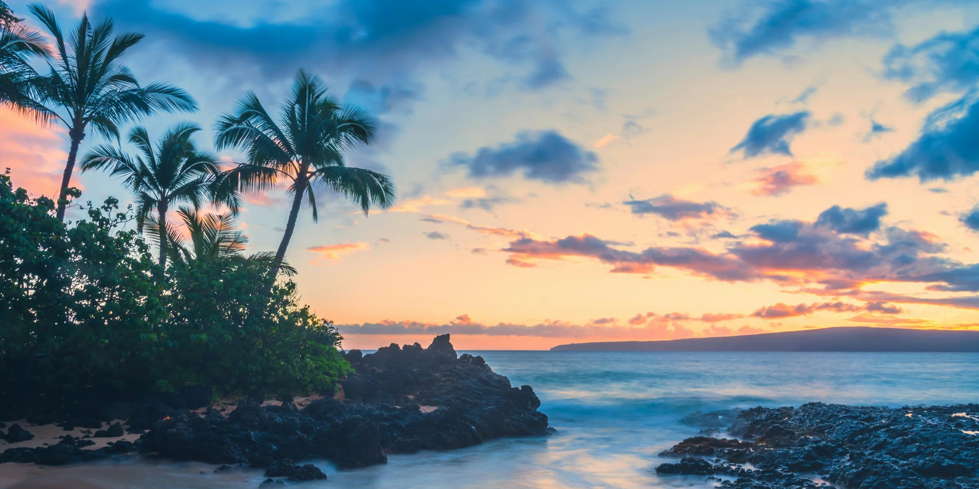 Hawaii beach with palm trees – diving with sharks
