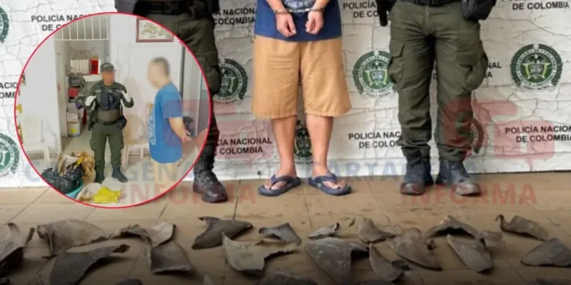 Colombian Police Arrest Man with Shark Fins