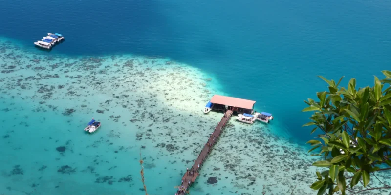 Kudat: trawler ban for the protection of sharks and rays