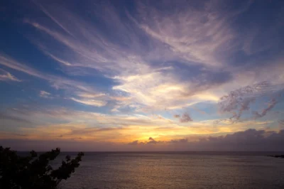 Molokai Channel shark attack Hawaii USA Molokai Channel shark attack Hawaii USA