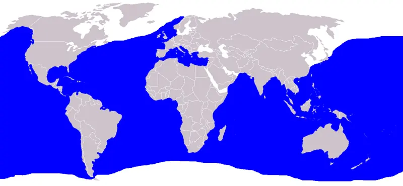 Prionace glauca blue shark map distribution occurrence