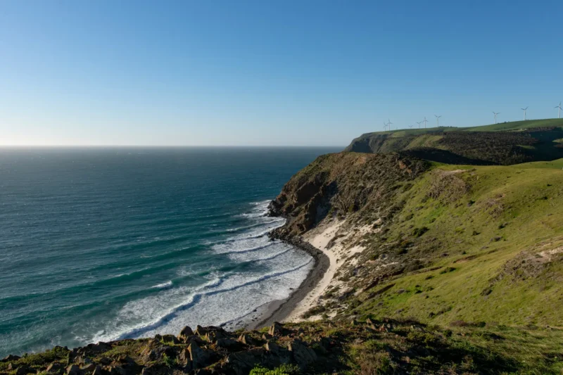 South Australia Port Noarlunga shark attack