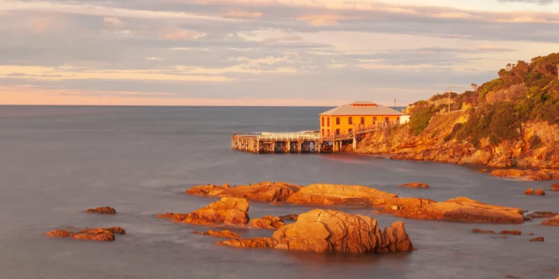 Tathra Beach Australia New South Wales nine-year-old escapes shark attack