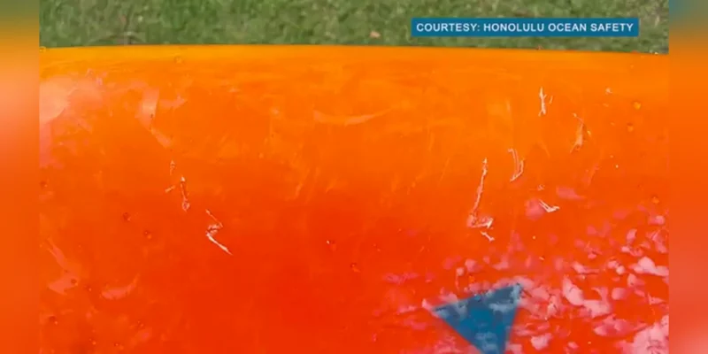 Close-up of an orange surfboard with apparent tooth marks after a tiger shark encounter off Ala Moana