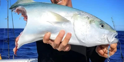 Angler holds a fish bitten by a shark