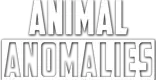Animal Anomalies logo Animal Anomalies logo