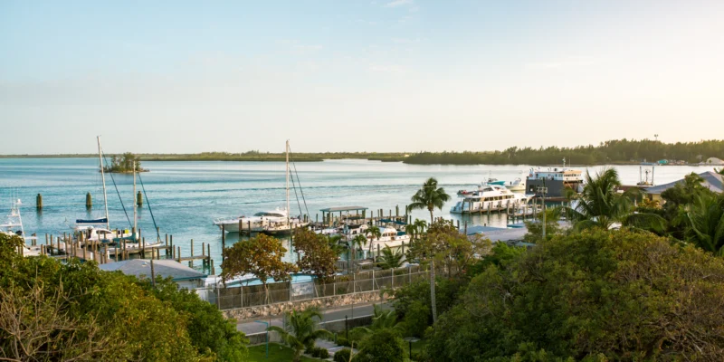 Small harbour on Bimini with sailing boats, motorboats, coastline and sea