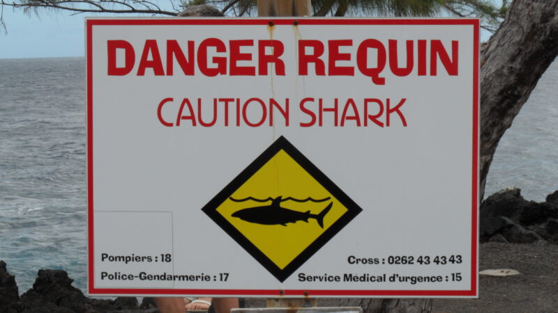 Shark warning sign on the coast of Réunion
