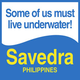 Savedra Dive Center logo Savedra Dive Center logo
