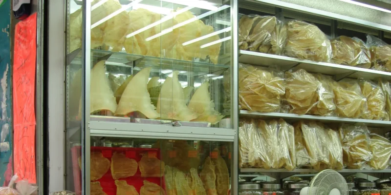Shark fins displayed in a shop in China