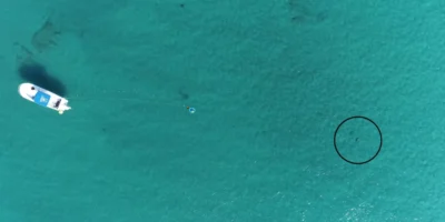 Drone view of the experimental setup off Florida, with a boat, an underwater loudspeaker and a shark marked by a black circle.