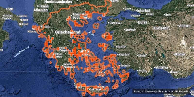 iNaturalist map of reported shark observations around Greece